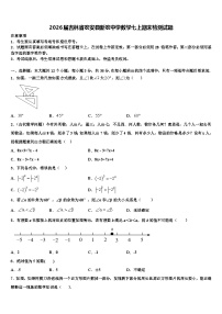 2026届吉林省农安县新农中学数学七上期末检测试题含解析
