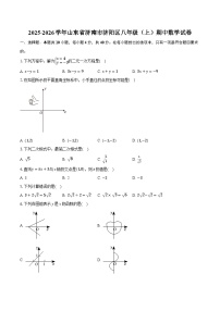 2025-2026学年山东省济南市济阳区八年级（上）期中数学试卷