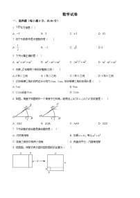 精品解析：吉林省长春市吉林大学附属中学2024-2025学年八年级上学期期中考试数学试题+答案