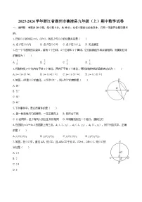 2025-2026学年浙江省湖州市德清县九年级（上）期中数学试卷-自定义类型