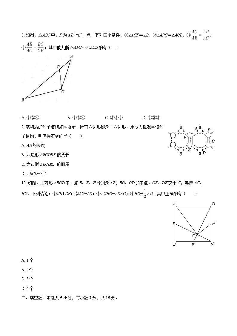 2025-2026学年广东省茂名市高州市九年级(上)期中数学试卷-自定义类型第2页