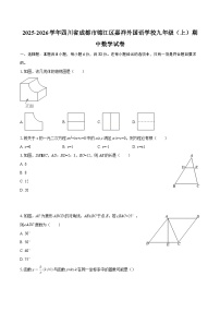 2025-2026学年四川省成都市锦江区嘉祥外国语学校九年级（上）期中数学试卷-自定义类型
