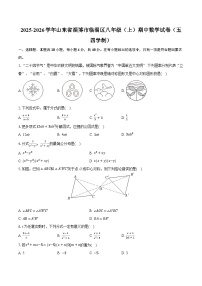 2025-2026学年山东省淄博市临淄区八年级（上）期中数学试卷（五四学制）