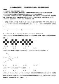 2026届南省郴州市七年级数学第一学期期末质量检测模拟试题含解析
