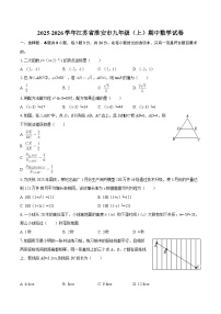 2025-2026学年江苏省淮安市九年级（上）期中数学试卷-自定义类型