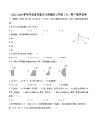 2025-2026学年河北省石家庄市栾城区七年级（上）期中数学试卷-自定义类型