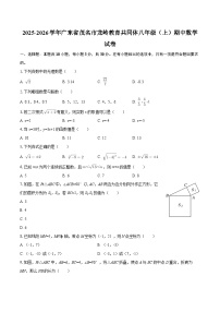 2025-2026学年广东省茂名市龙岭教育共同体八年级（上）期中数学试卷-自定义类型