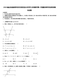 2026届山东省德州市经济开发区抬头寺中学七年级数学第一学期期末教学质量检测模拟试题含解析