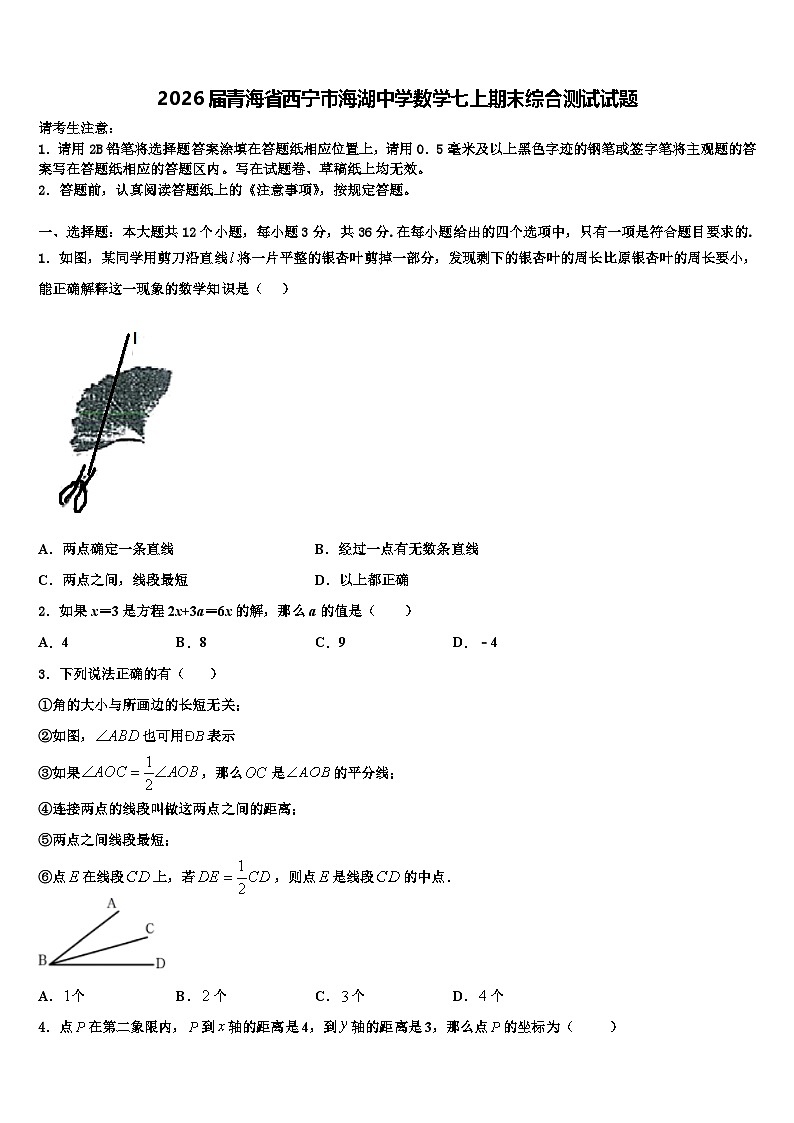 2026届青海省西宁市海湖中学数学七上期末综合测试试题含解析第1页