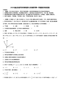 2026届山东省菏泽市鄄城县七年级数学第一学期期末预测试题含解析