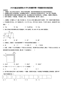 2026届山东省青岛42中七年级数学第一学期期末综合测试试题含解析