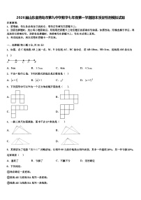 2026届山东省青岛市第九中学数学七年级第一学期期末质量检测模拟试题含解析