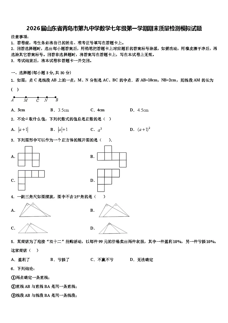 2026届山东省青岛市第九中学数学七年级第一学期期末质量检测模拟试题含解析第1页