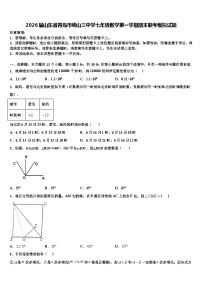2026届山东省青岛市崂山三中学七年级数学第一学期期末联考模拟试题含解析