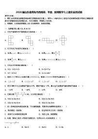 2026届山东省青岛市西海岸、平度、胶州数学七上期末监测试题含解析