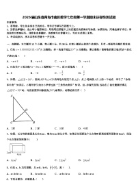 2026届山东省青岛市南区数学七年级第一学期期末达标检测试题含解析