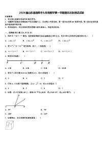 2026届山东省曲阜市七年级数学第一学期期末达标测试试题含解析