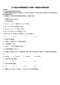 2026届山东省莒南县数学七年级第一学期期末考试模拟试题含解析