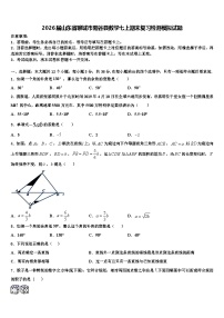 2026届山东省聊城市阳谷县数学七上期末复习检测模拟试题含解析