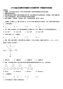 2026届山东省泰安市高新区七年级数学第一学期期末检测试题含解析