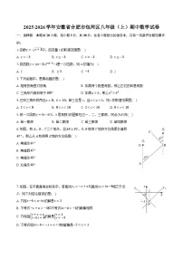 2025-2026学年安徽省合肥市包河区八年级（上）期中数学试卷