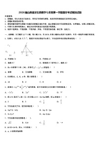 2026届山西省灵石县数学七年级第一学期期末考试模拟试题含解析
