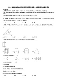 2026届陕西省宝鸡凤翔县联考数学七年级第一学期期末经典模拟试题含解析
