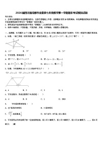 2026届四川省成都市金堂县七年级数学第一学期期末考试模拟试题含解析