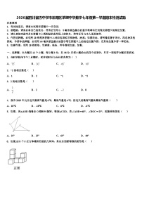 2026届四川省巴中学市恩阳区茶坝中学数学七年级第一学期期末检测试题含解析