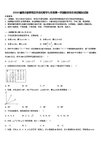 2026届四川省攀枝花市名校数学七年级第一学期期末综合测试模拟试题含解析