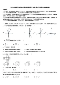 2026届四川省乐山市井研县数学七年级第一学期期末调研试题含解析
