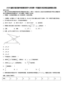 2026届四川省成都市新都区数学七年级第一学期期末质量跟踪监视模拟试题含解析