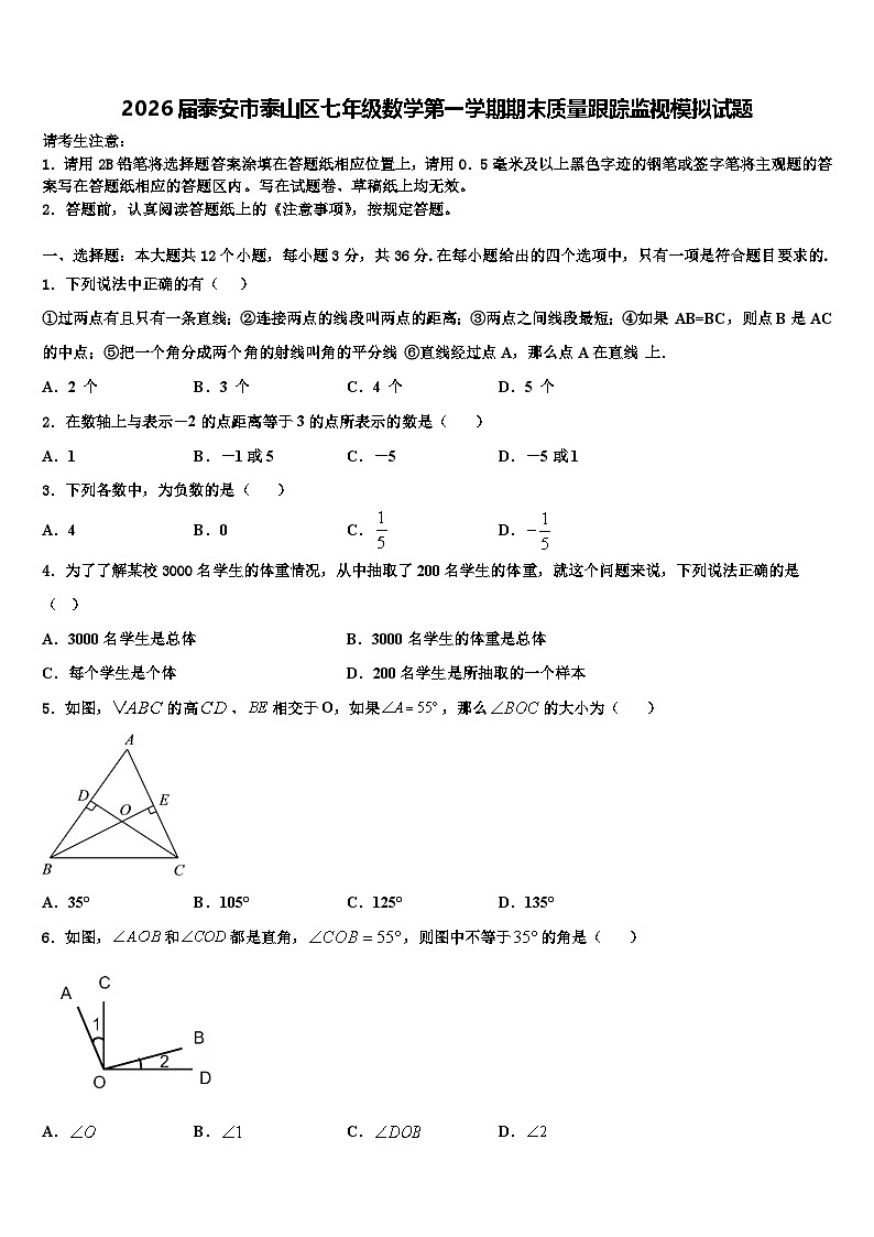 2026届泰安市泰山区七年级数学第一学期期末质量跟踪监视模拟试题含解析第1页