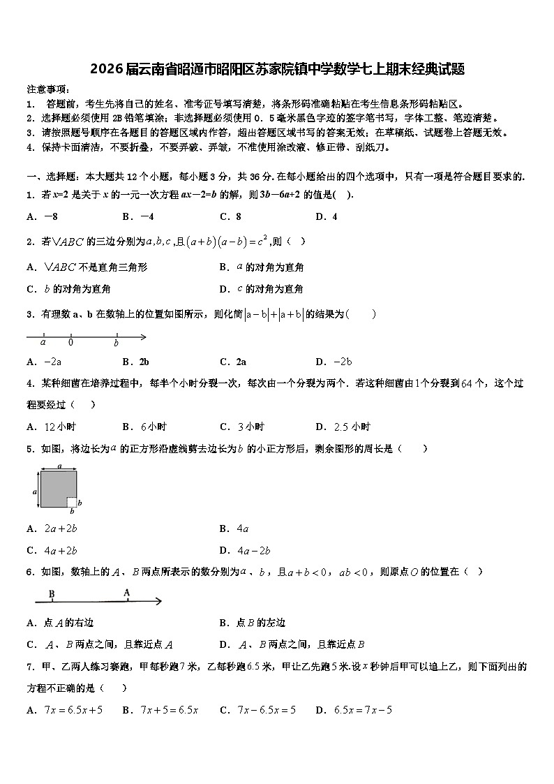 2026届云南省昭通市昭阳区苏家院镇中学数学七上期末经典试题含解析第1页