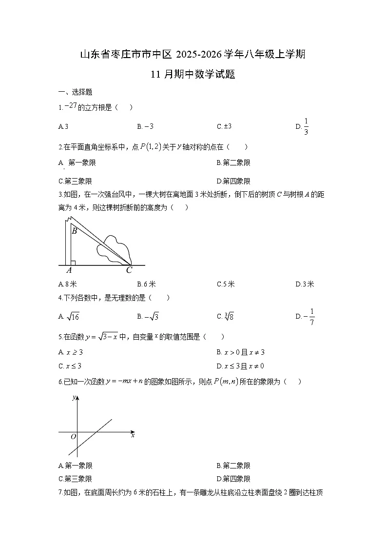 2025-2026学年山东省枣庄市市中区八年级上学期11月期中数学试题(学生版)第1页