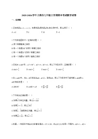 2025~2026学年上海市九年级上学期期中考试数学试卷【附解析】