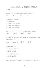2025-2026学年上海市九年级上学期期中考试数学试题（含解析）