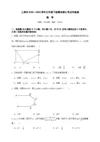 上海市2024—2025学年数学七年级下册期末核心考点专练卷(原卷版 解析版)-沪教版五四制初中数学七下