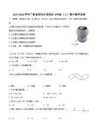 广东省深圳市龙岗区2025-2026学年七年级上学期期中数学试卷（含答案）