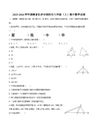 2025-2026学年湖南省长沙市浏阳市八年级（上）期中数学试卷-自定义类型