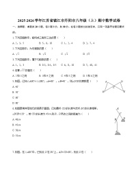 2025-2026学年江苏省镇江市丹阳市八年级（上）期中数学试卷-自定义类型
