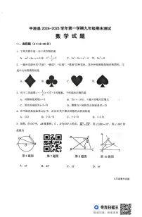 山东省德州市平原县2024-2025学年九年级上学期1月期末数学试题