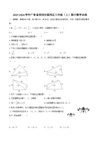 2025-2026学年广东省深圳市福田区八年级（上）期中数学试卷-自定义类型