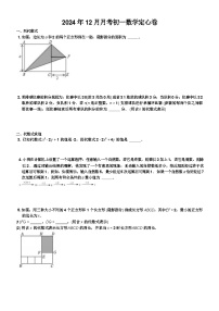 江苏省苏州市2024-2025学年上学期七年级数学12月月考定心卷 含答案