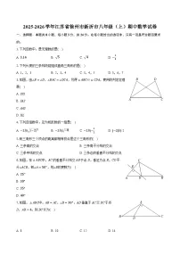 2025-2026学年江苏省徐州市新沂市八年级（上）期中数学试卷