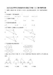 2025-2026学年江苏省扬州市江都区八年级（上）期中数学试卷-自定义类型