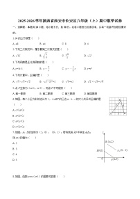 2025-2026学年陕西省西安市长安区八年级（上）期中数学试卷-自定义类型