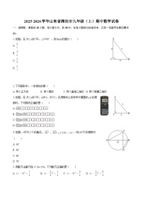 2025-2026学年山东省潍坊市九年级(上)期中数学试卷-自定义类型