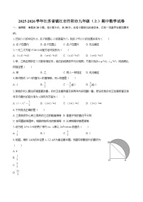 2025-2026学年江苏省镇江市丹阳市九年级(上)期中数学试卷-自定义类型