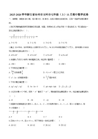 2025-2026学年浙江省台州市玉环市七年级（上）11月期中数学试卷-自定义类型